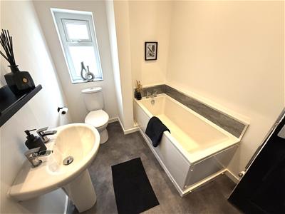Picture 15